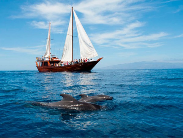 Excursión de 5h en velero oriental con avistamiento de cetáceos + comida + bebidas