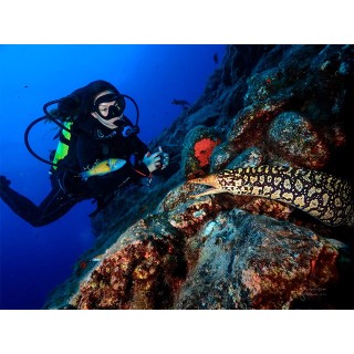 Bautismo de buceo con navegación en el sur de la isla