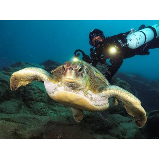 Bautismo de buceo con navegación en el sur de la isla