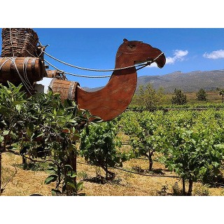 Bodegas Reverón - Vilaflor