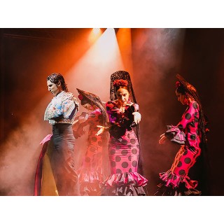 Olé Flamenco: Entrada para espectáculo + 5 euros de crédito BonosVip