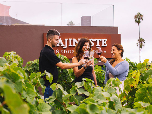 Cata de vinos para 2 con maridaje de ibéricos