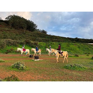 Centro Hípico Las Riendas - La Laguna