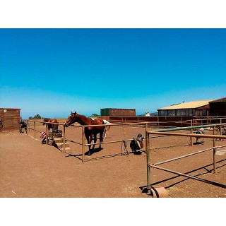 Centro Hípico Las Riendas - La Laguna