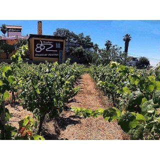 Bodegas Reverón - Vilaflor