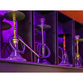 Picoteo para 2 con shisha + mojitos en La Plaza del Quinto Centenario