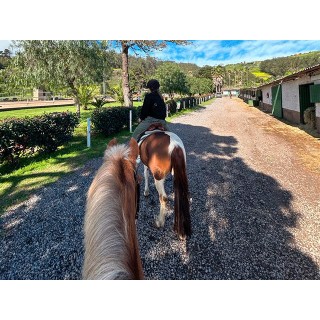 Club Hípico Nueva Atalaya - La Laguna