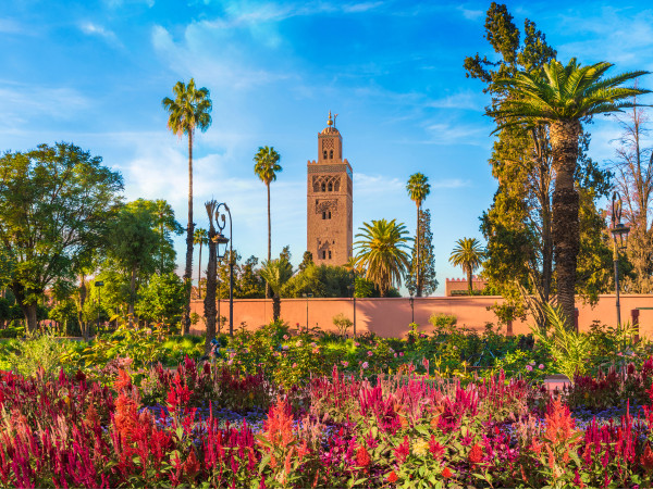 MARRAKECH: 5 a 7 noches FEBRERO con vuelo + hotel + traslados + excursión a cataratas Ozoud