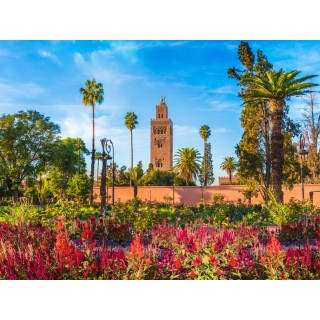 MARRAKECH: 5 a 7 noches FEBRERO con vuelo + hotel + traslados + excursión a cataratas Ozoud