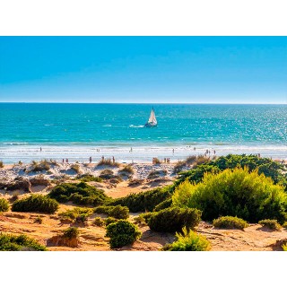 CHICLANA DE LA FRONTERA: Vuelo + hotel + traslados desde Tenerife o Gran Canaria