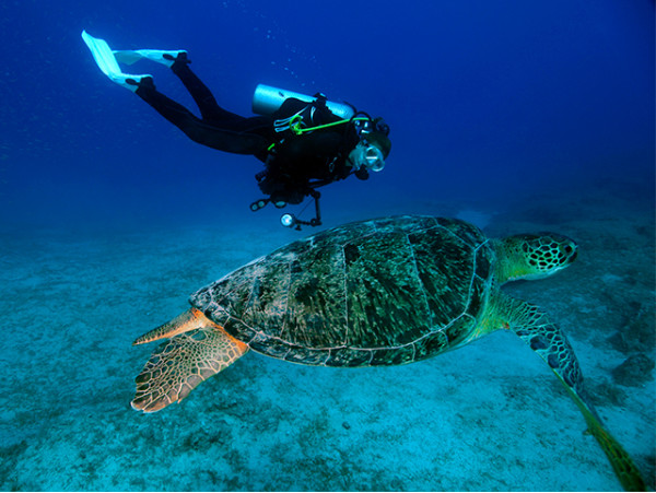 Thalassa Buceo - Los Abrigos