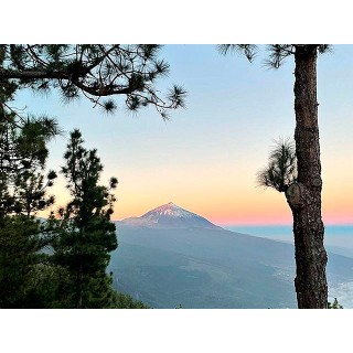 Monte Frío - Los Realejos